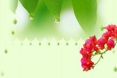 【诗歌赏析】前要的是祝福今要主自己
