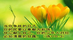 【诗歌赏析】我今撇下一切事物