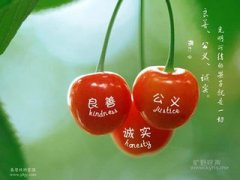 <b>事奉主者该有的进取(问答)</b>