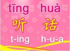 会听懂人的话