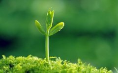 破碎与涵养