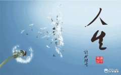 癫狂的人生