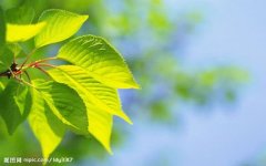 当别人忠心受苦，你我岂能安坐不动呢？
