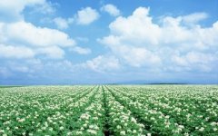 错用代表权柄与神政治的审判
