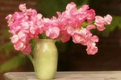 学习顺从神的旨意和安排