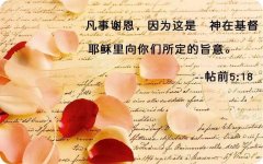 学习找机会感谢神