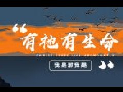 认识生命与教会