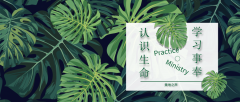 认识生命和教会,操练作事并作工