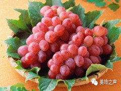 我们是什么,我们是谁?