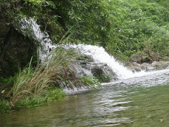 主的仆人不该轻看人
