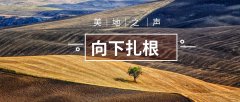 浮浅的生活