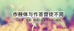 作肢体与作基督徒不同