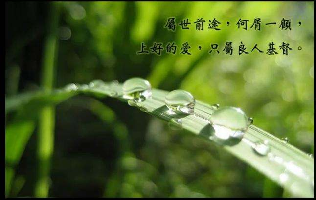 不能事奉主又事奉玛门
