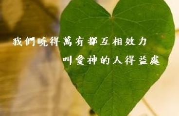 圣灵的管治