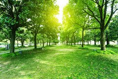 教会建造要注意的点