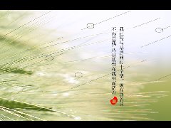 让神从我们里面活出来的道路