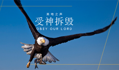 受神的拆毁