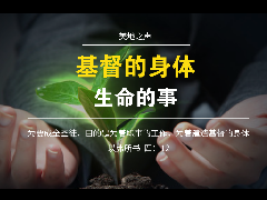 基督的身体乃是生命的事