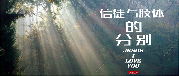 信徒与肢体的分别