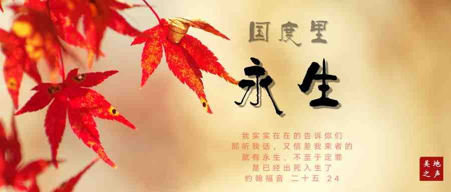 在来世国度得永生
