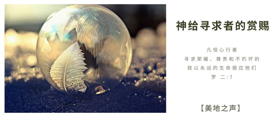 神给寻求者的赏赐