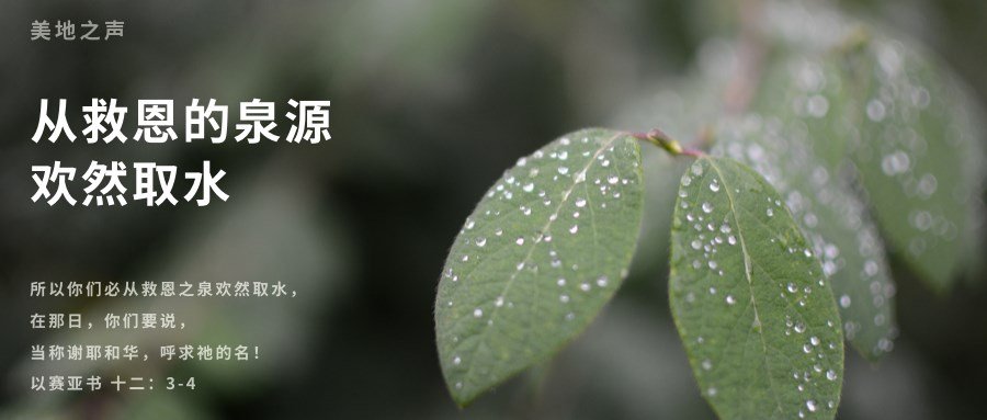 从救恩的泉源欢然取水