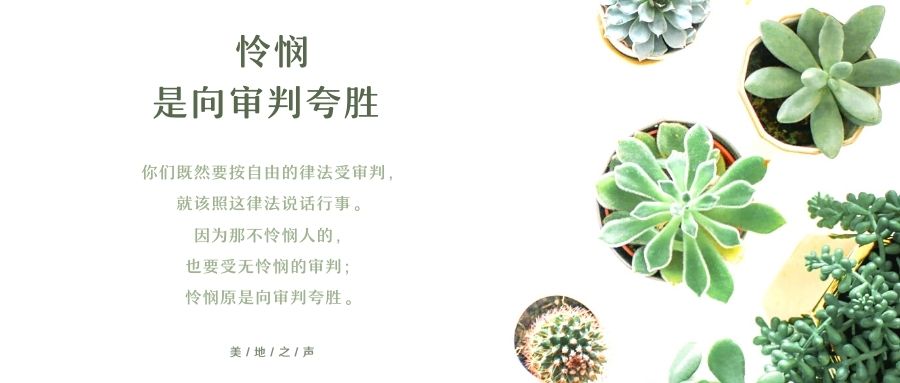 怜悯是向审判夸胜