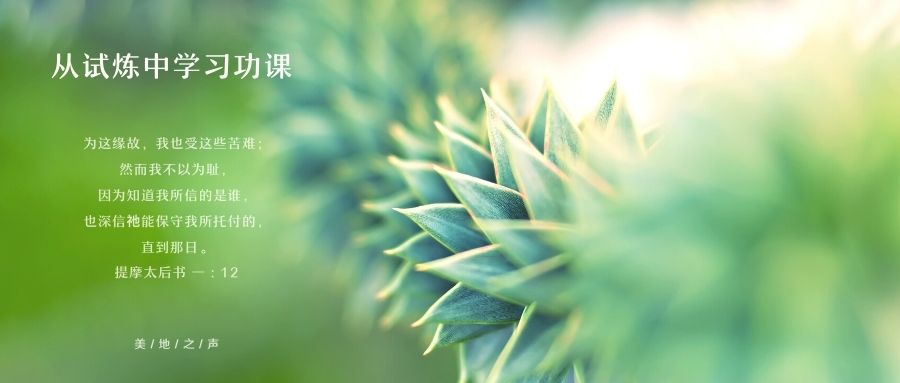 从试验中学习功课