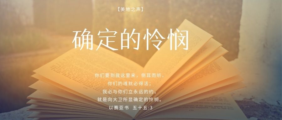 确定的怜悯